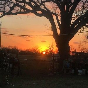 Meet your Posher, Mineley